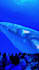 make 360 immersive projection, 3d projection mapping, dome projection, led wall
