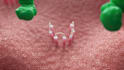 make realistic 3d medical, scientific and virus animation videos