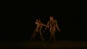 perform a professional couple ballet dance with my romantic partner