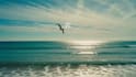create 30 min affirmation, meditation video for your youtube channel