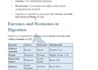 do ms excel data entry word formatting