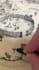 draw a hand drawn trail map, hiking map, park map and illustrated recreation map