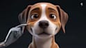 create blender 3d character animation, rigging and 3d product animation