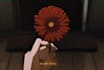 do anime edits with good sound effects and color correction