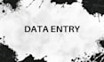 do expert data entry, data cleaning, and data management