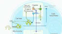 create publication quality scientific figures and graphical abstracts