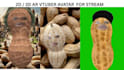 create an expressive ar vtuber 3d avatar for streamers and snap camera by stream