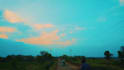 create cinematic nature and travel video edits