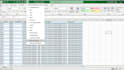 professional data formatting excel word CSV