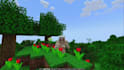 create high quality minecraft blockbench 3d models, animations, and texture pack