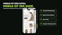 build a professional shopify store