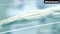 create 3d medical anatomy and healthcare explainer video animation