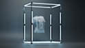create second life, 3d character, 3d clothing, rigging, 3d garment