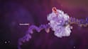 do 3d medical animation for immunotherapy, scientific cell moa explainer video