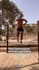 help you start calisthenics from scratch