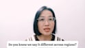 teach conversational southern vietnamese