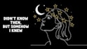 create a hand drawn lyric video animation with storytelling