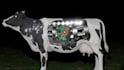 3d art or videoclips for you music