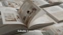 canva book formatting, journal design workbook redsign, canva ebook, templates