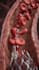 create 3d medical animation, 3d surgical animation, scientific visual