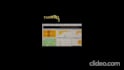 do translation, entry and analysis, database and visualize dashboard creation