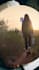 design instagram quotes post and reels