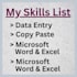 professional data entry expert