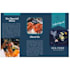 design professionals canva presentations, format assignments