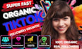 do super fast organic tiktok followers growth