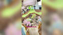 create the best mom and baby ugc videos for your brand