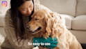 create engaging ugc video ads for pet products