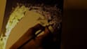 make realistic artwork and anime art
