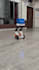 train, fine tune llms, deploy custom ai, and robotic models