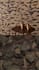 design premium modern, tactile rug and carpet patterns