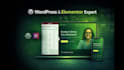 design a modern, responsive, SEO friendly website for your business