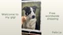 hand paint a custom oil portrait of your pet with free shipping