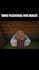 create funny minecraft animations and story videos