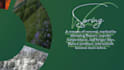 professional canva poster design