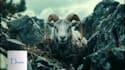 create cinematic historical documentary videos for youtube
