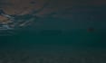 do 3d fluid, water simulation, water vfx, liquid simulation 3d soda animation