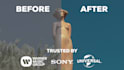 color grade your video, trusted by universal, sony, warner