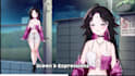 design anime characters and do live2d rigging with vbridger