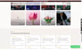 develop websites and web applications