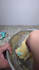 create pregnancy motherhood lifestyle ugc