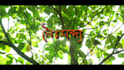 edit videos, youtube content and short dramas cinematically