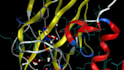 molecular docking using moe software