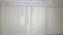 do professional data entry and excel services