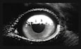 create an ai assisted cinematic visual video for your music