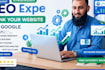 do professional SEO website audit and optimization