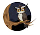 create simple animated gifs for you